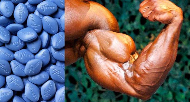 Gain Muscle and Size with Sildenafil