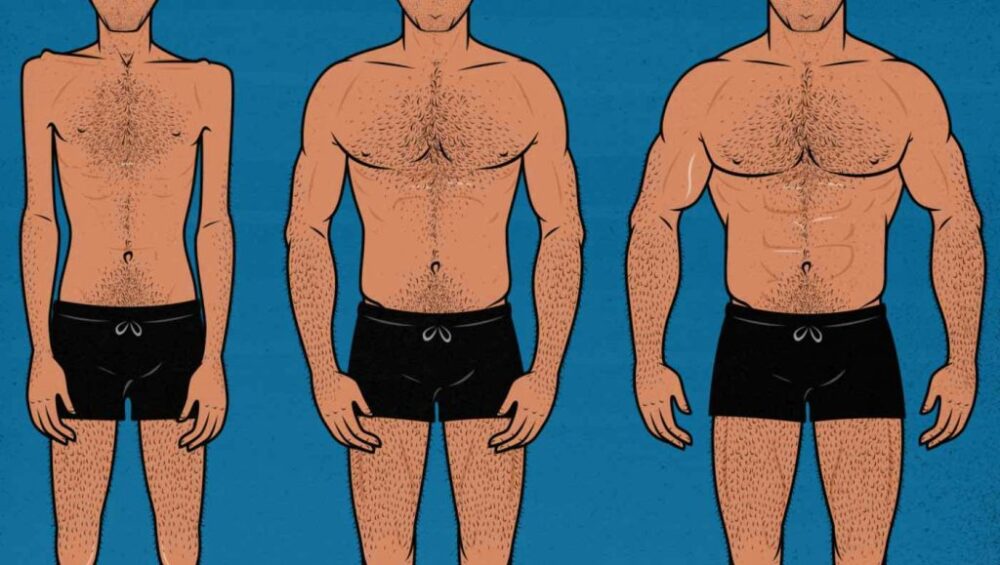 Unveiling the Art of Bulking with Steroids